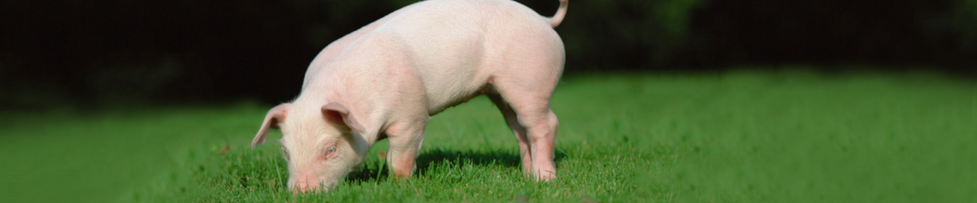 28圈(中国游)官网注册 -APP下载