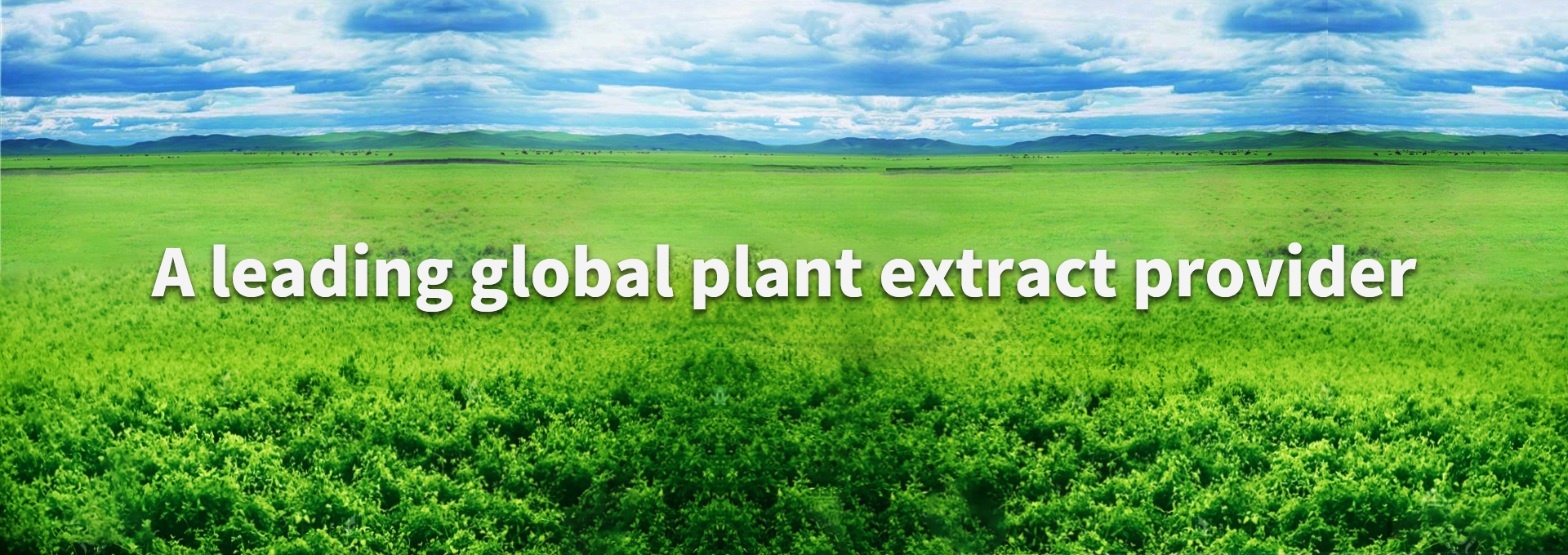 28圈(中国游)官网注册 -APP下载