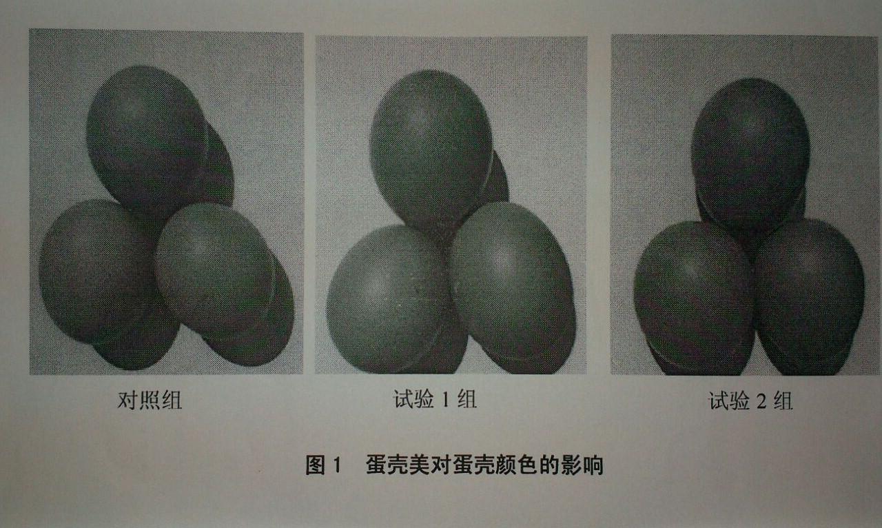 28圈(中国游)官网注册 -APP下载