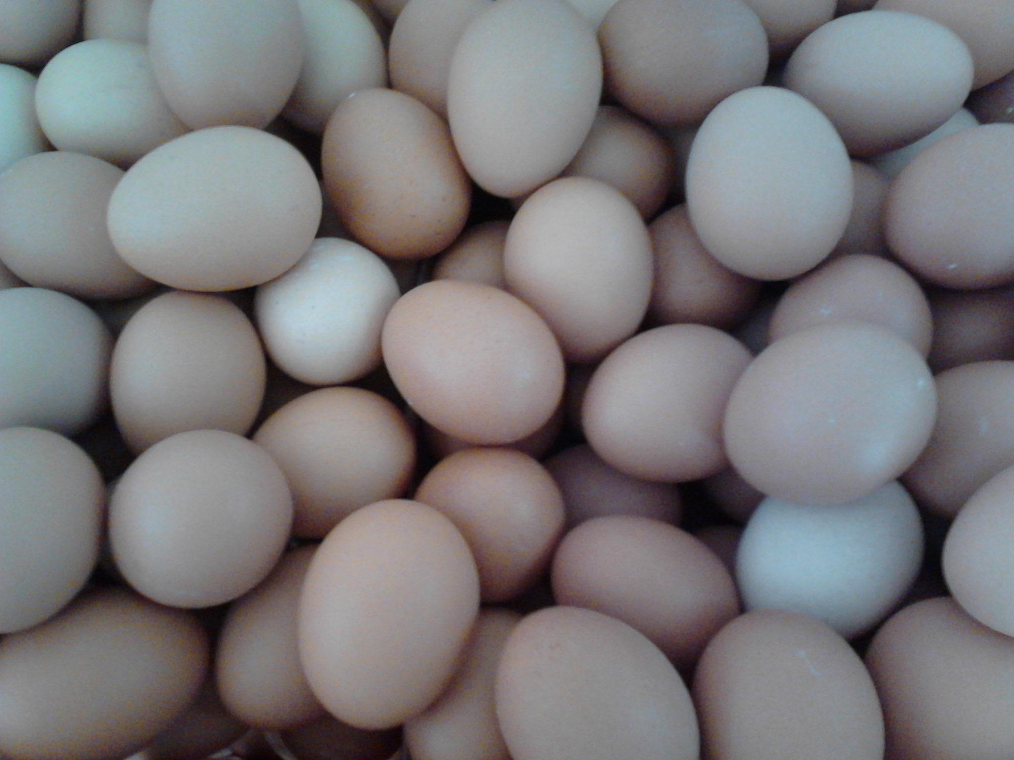 28圈(中国游)官网注册 -APP下载