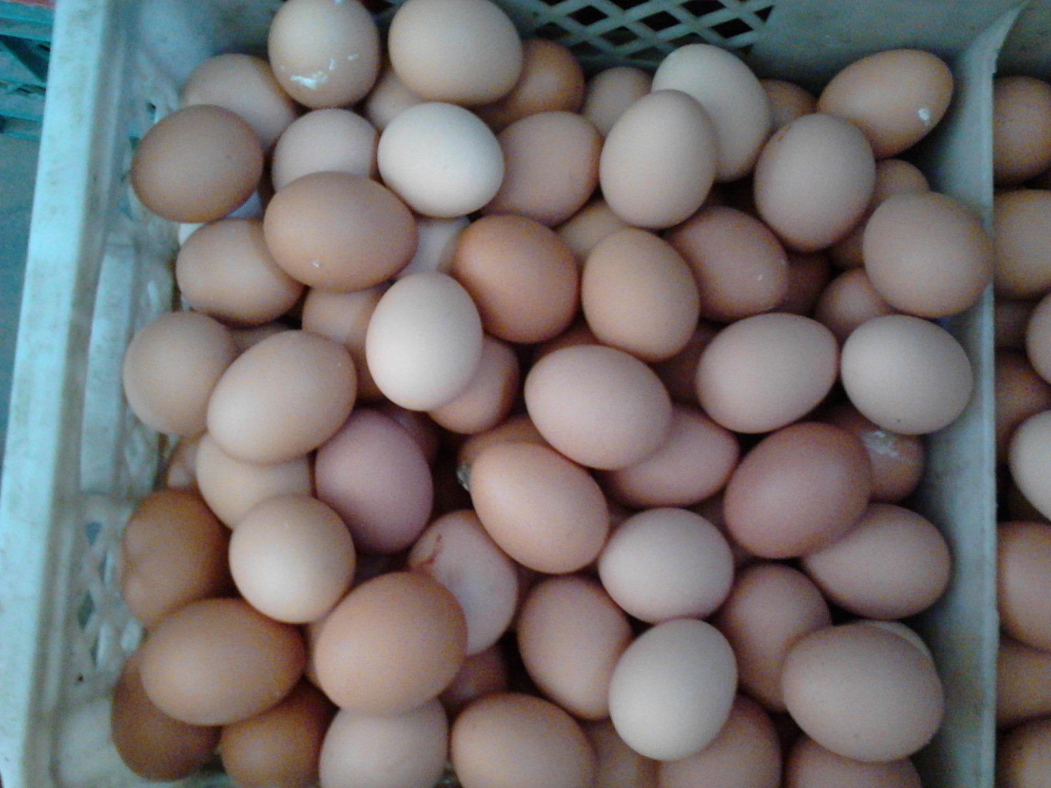 28圈(中国游)官网注册 -APP下载