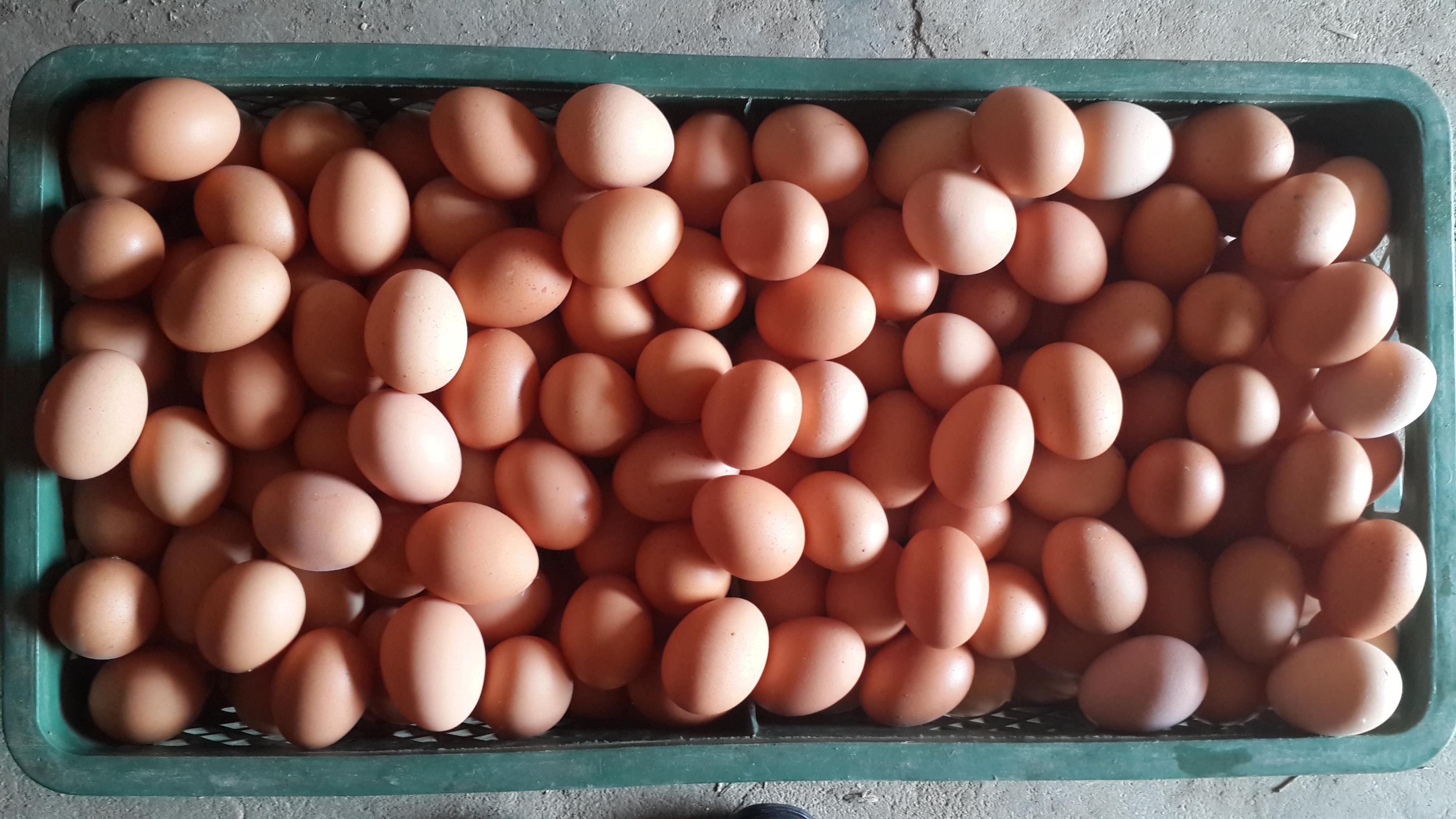 28圈(中国游)官网注册 -APP下载