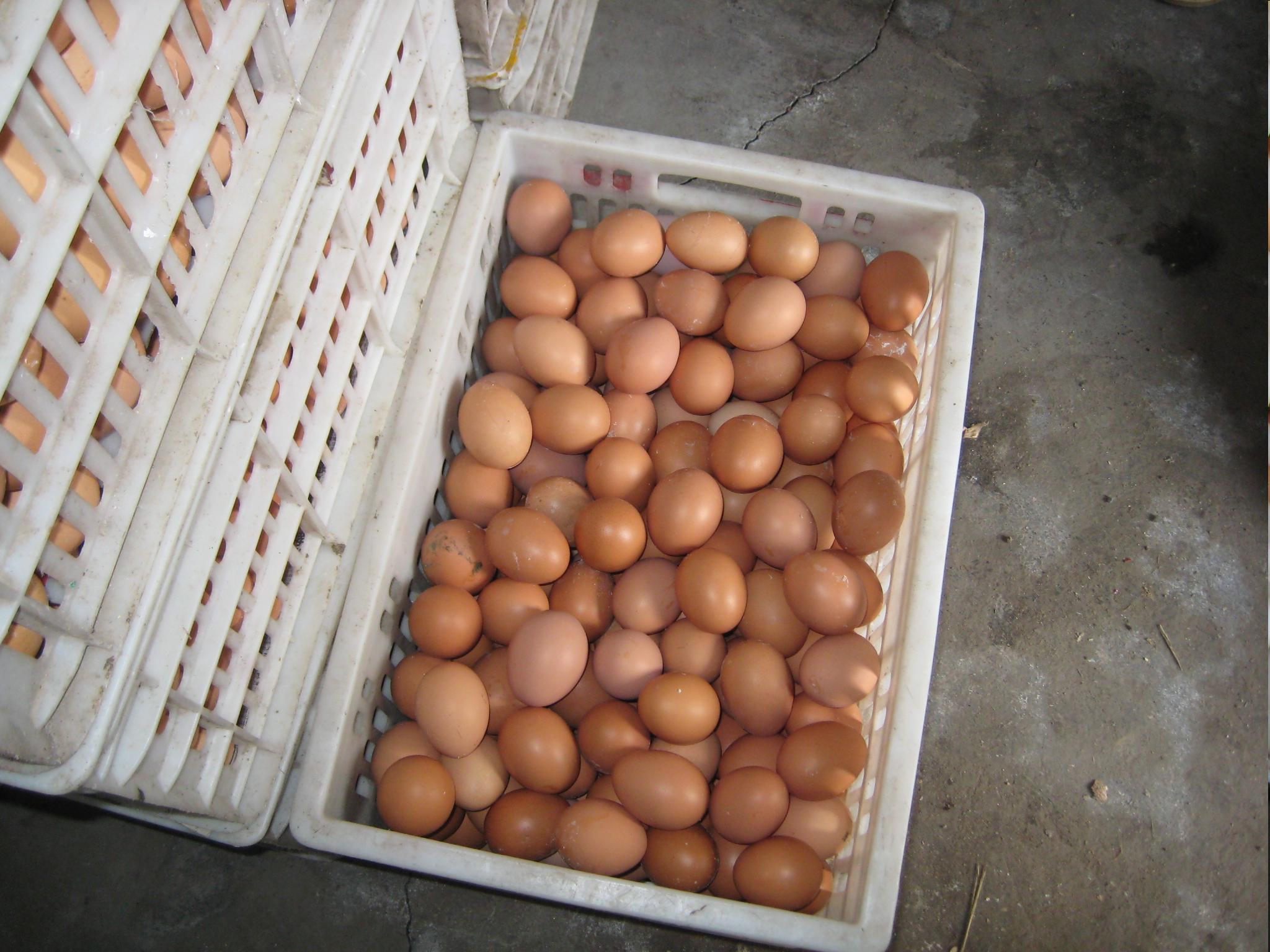 28圈(中国游)官网注册 -APP下载