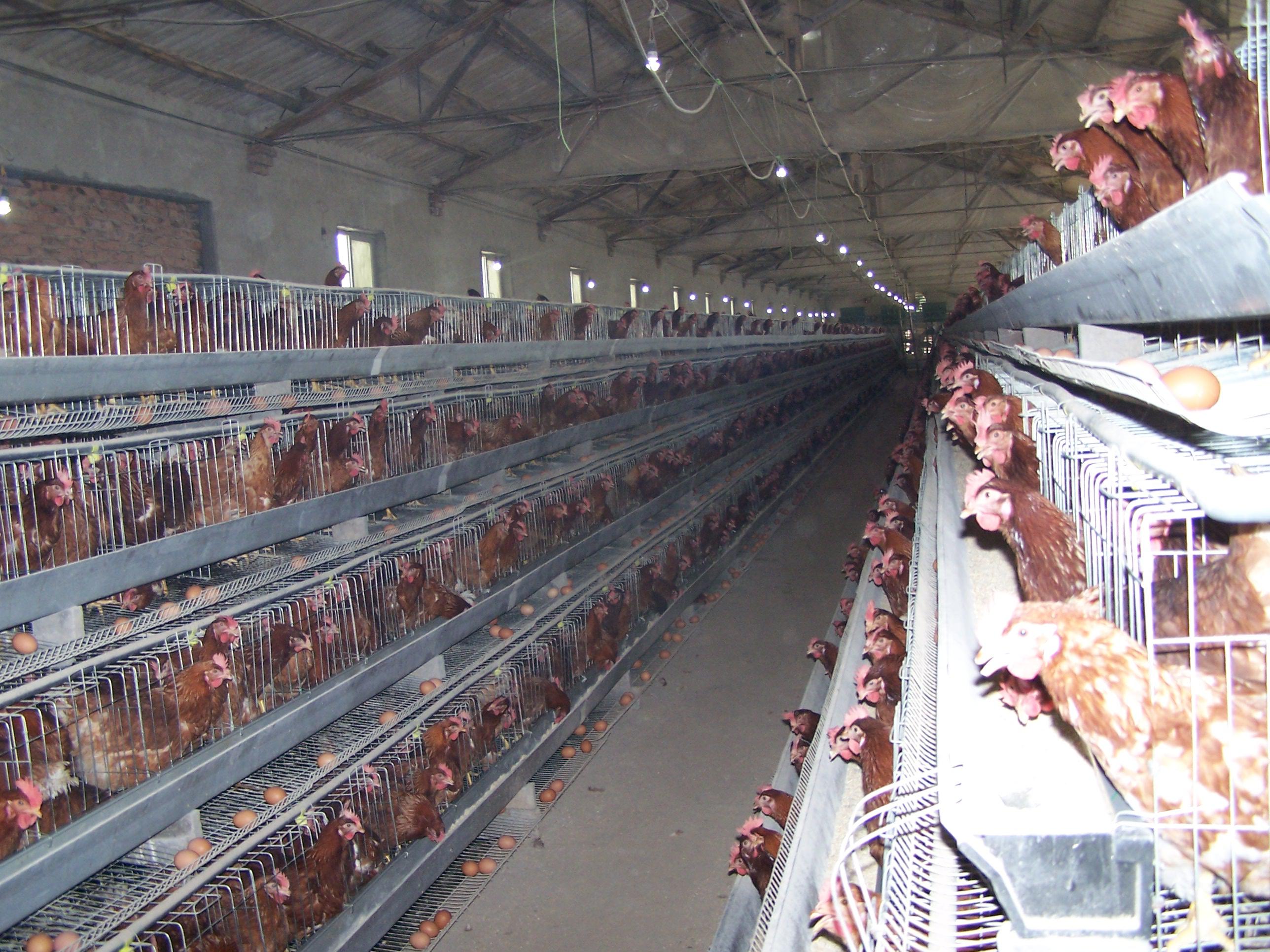 28圈(中国游)官网注册 -APP下载