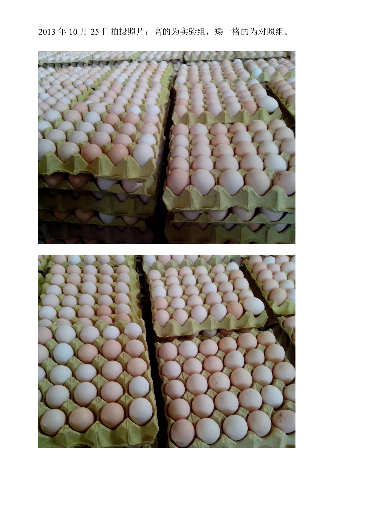 28圈(中国游)官网注册 -APP下载