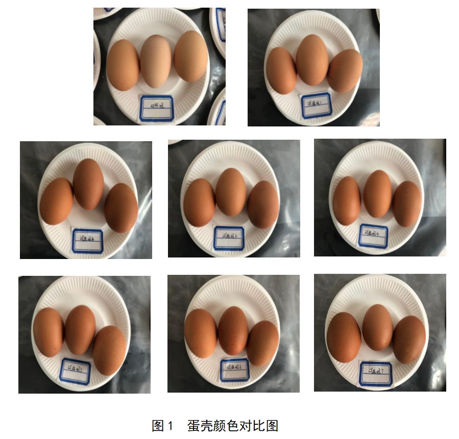 28圈(中国游)官网注册 -APP下载