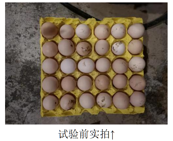 28圈(中国游)官网注册 -APP下载