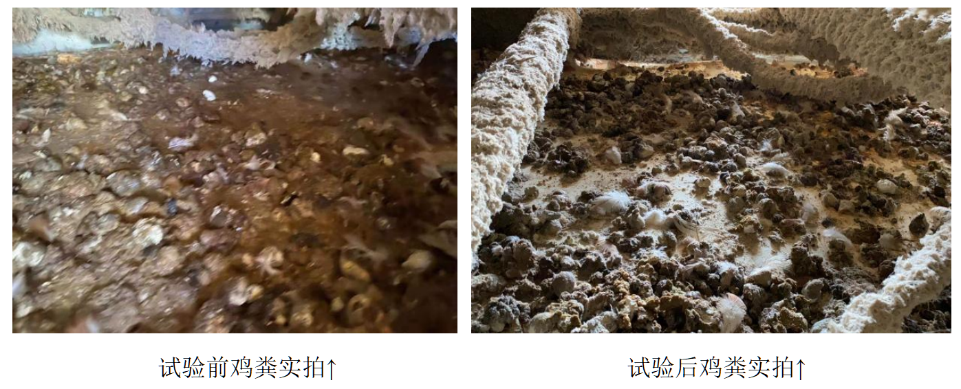 28圈(中国游)官网注册 -APP下载