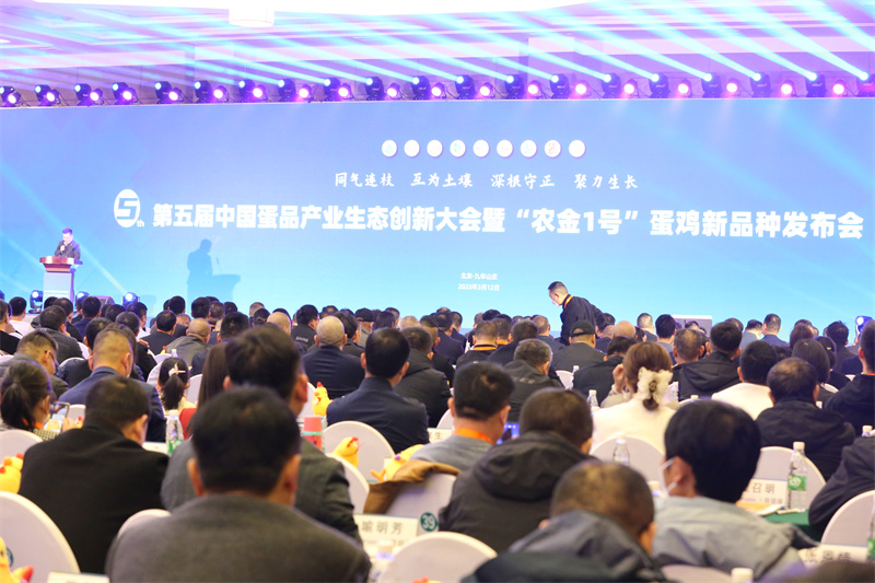 28圈(中国游)官网注册 -APP下载